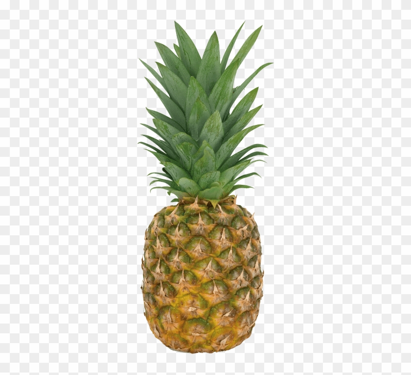 Ja 1518 D - Fresh Pineapple #1122762