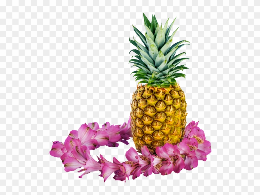 Hawaiian Pineapple - Stock Photography #1122768
