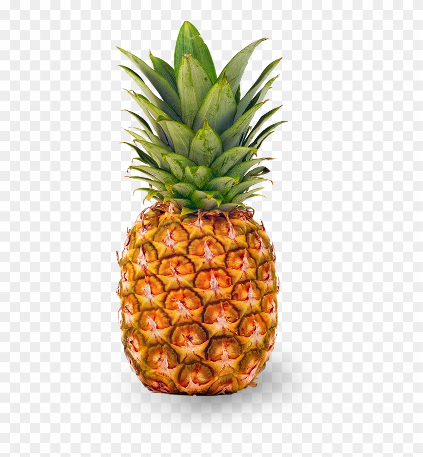 The Liberty Travel Way - Pineapple Small #1122773