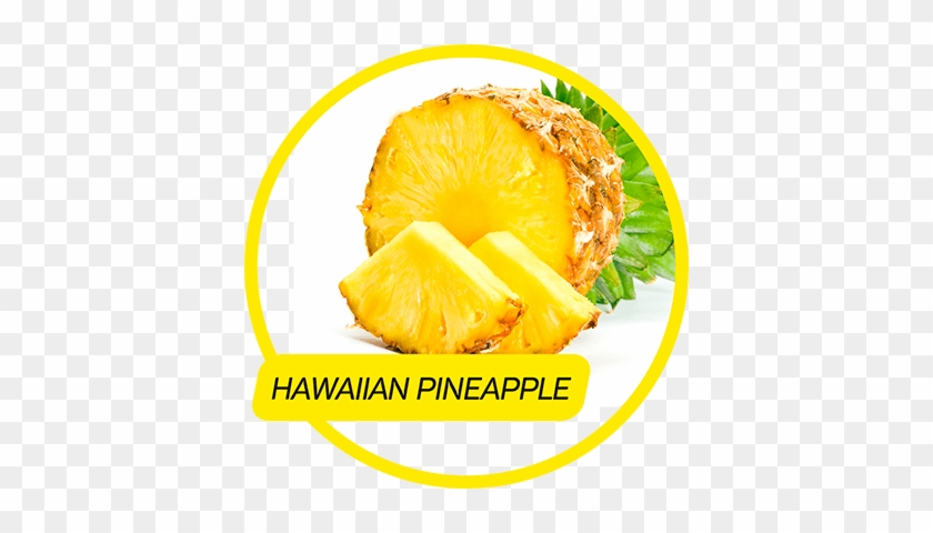 Description - Enzymes: The Missing Link To Health [book] #1122782