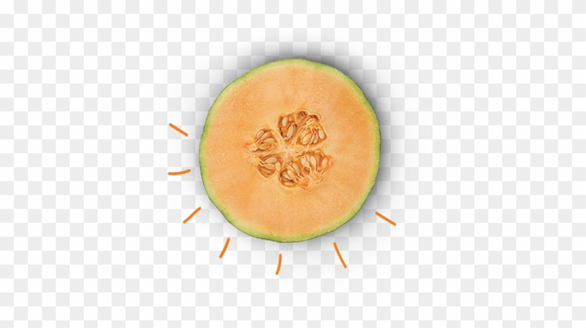 Cantaloupe Clipart Honey Dew Melon - Honeydew #1122836