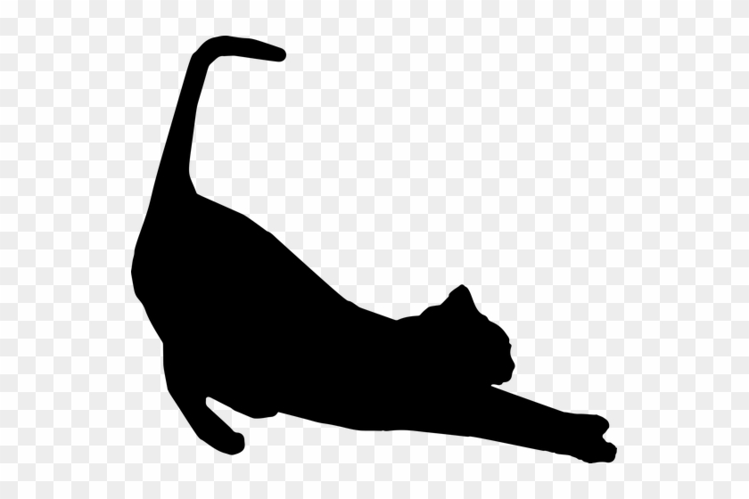 Silhouettes - Silhouette Of A Cat #1123003