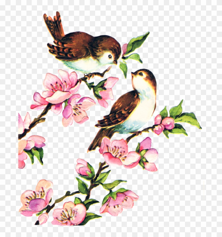 Lovebird Birdcage Domestic Canary Clip Art - Vintage Bird Clip Art #1123021
