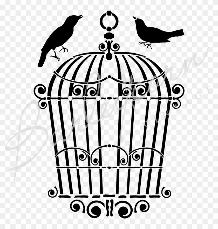 Birdcage #1123028