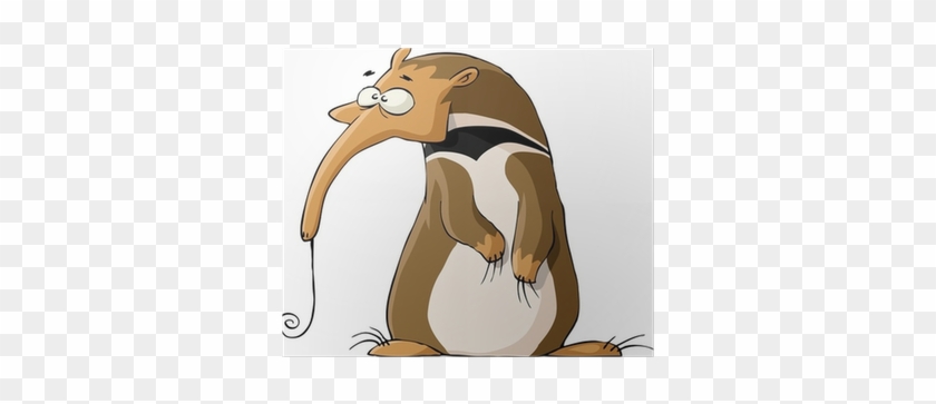 Anteater Cartoon #1123571