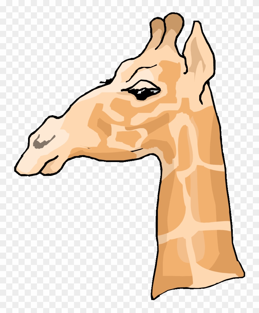 Side Profile Of A Giraffe #1123874