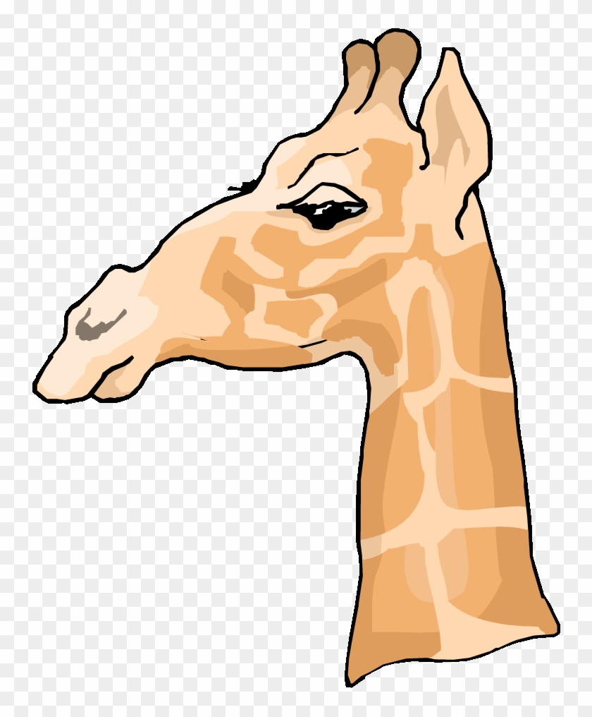 Side Profile Of A Giraffe #1123874