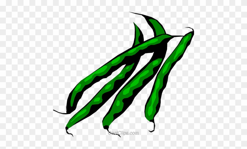 Green Beans Royalty Free Vector Clip Art Illustration - Green Beans Clip Art #1124027