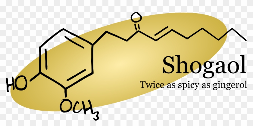 Shogaol Is Twice As Spicy As Gingerol, Which Is Why - Facebook Cover Photo Quotes #1124032