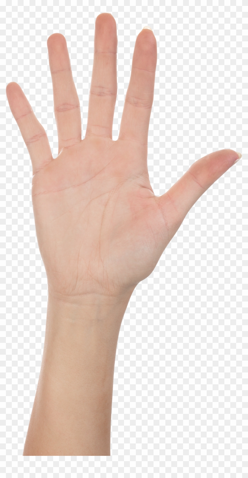 Five Finger Hand Png Image - Hands High Resolution Png #1124048