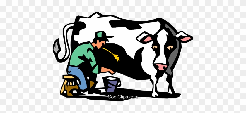 Ox Clipart Farming - Milking A Cow Cartoon #1124893