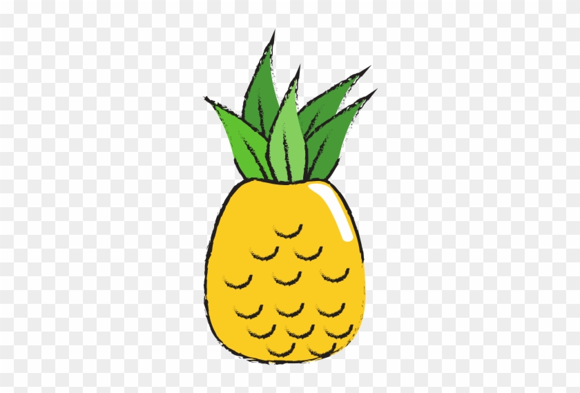 Pineapple Fruit Sketch - Vector Graphics #1124985