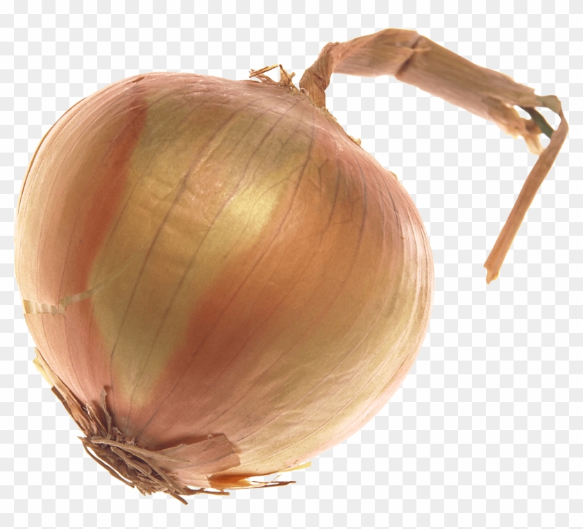 Onion Large - Onions With Transparent Background #1125208