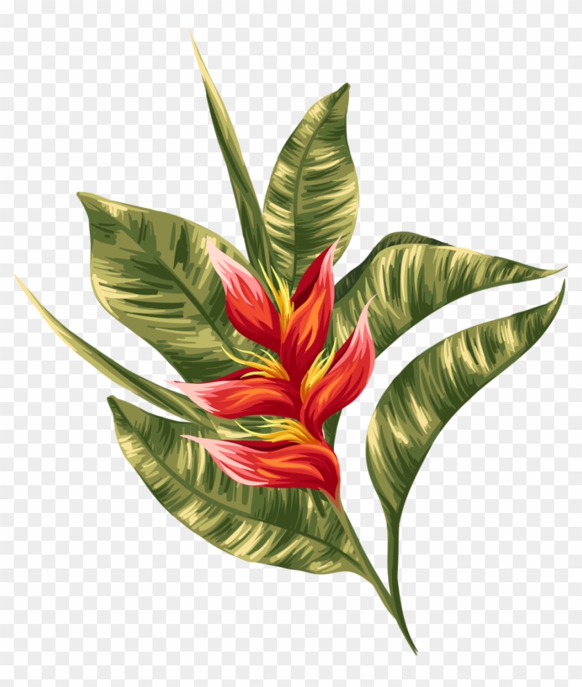 Clip Arttropicalillustrations - Jungle Greenery With Red Flowers Skin #1125990