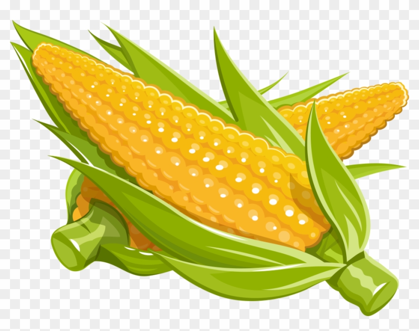 Maize Royalty-free Illustration - Corn Transparent Cartoon #1125995