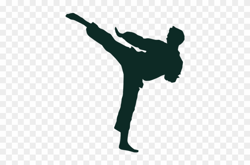 Karate High Kick Training Transparent Png - Ninja Noir Hi Kik Png #1126002