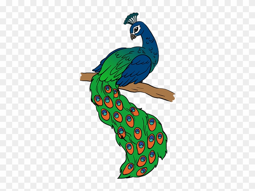 Simple Colorful Peacock Drawing - Peacock Pictures For Drawing #1126141