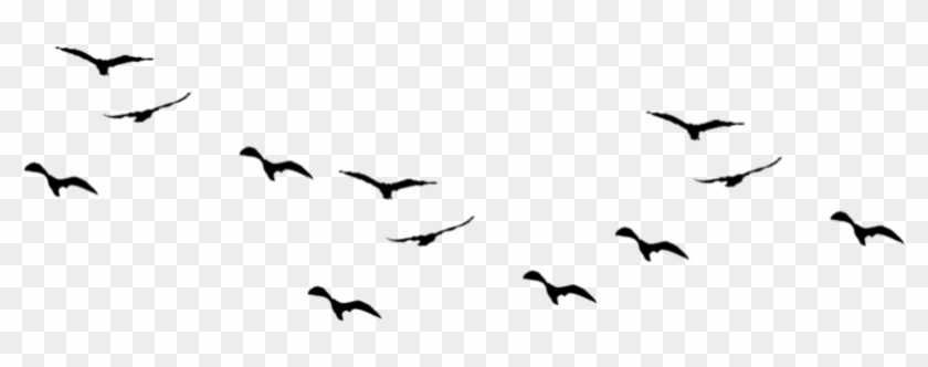 Flock Of Birds Clipart Blackbirds - Birds Png #1126166