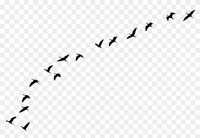   Spring Birds Clip Art #1126207