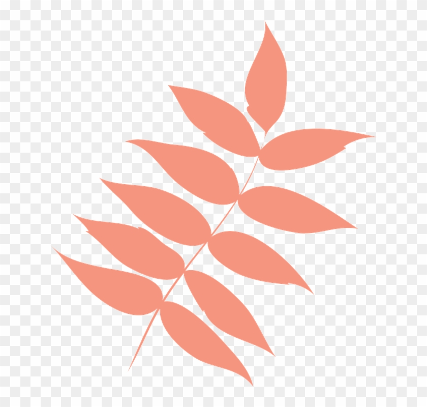 Free Vector Graphic - Autumn Leaves Png Icon #1126246