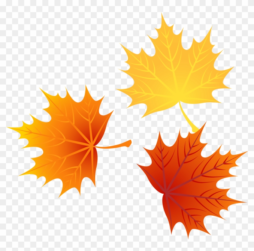 Leaf Autumn Leaves Euclidean Vector - Autumn Leaves Vector Png #1126250