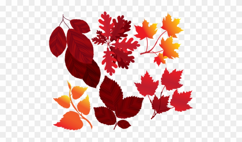 List31 - Leaf #1126253