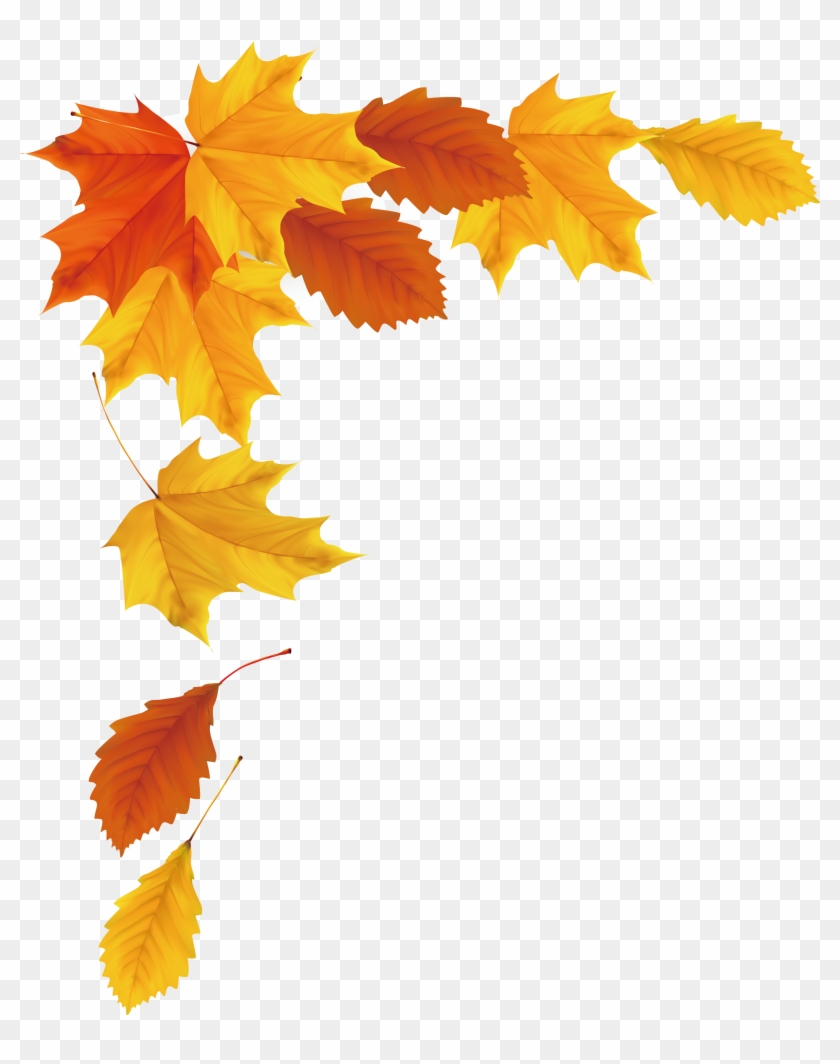 Maple Leaf Autumn - Autumn Vector Png #1126267