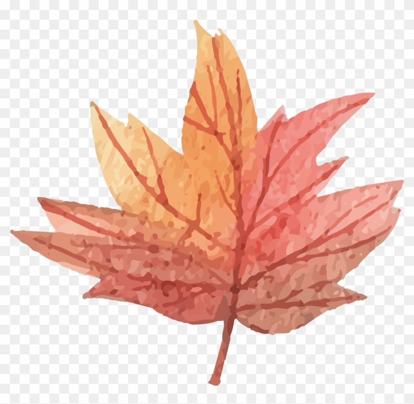 Vector Maple Leaf - Maple Leaf #1126280