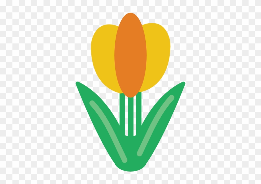 Tulip Free Icon - Education #1126449