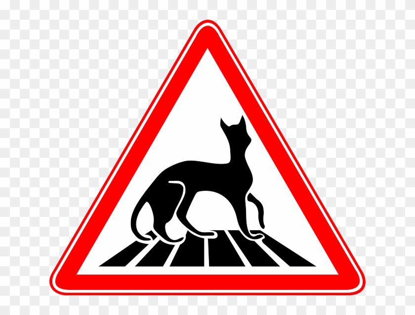 Cat, Crossing, Zebra, Humor, Walking, Pedestrian - Cat Pedestrian #1126457