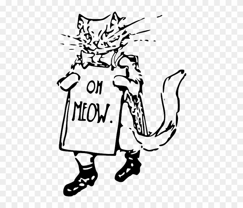 Cat, Sign, Drawing, Kitten, Holding, Walking, Whiskers - Cewek Dan Kucing Drawing #1126484