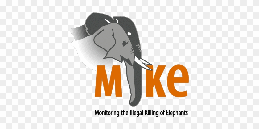 Ivory Hurst Publishers - Indian Elephant #1126893