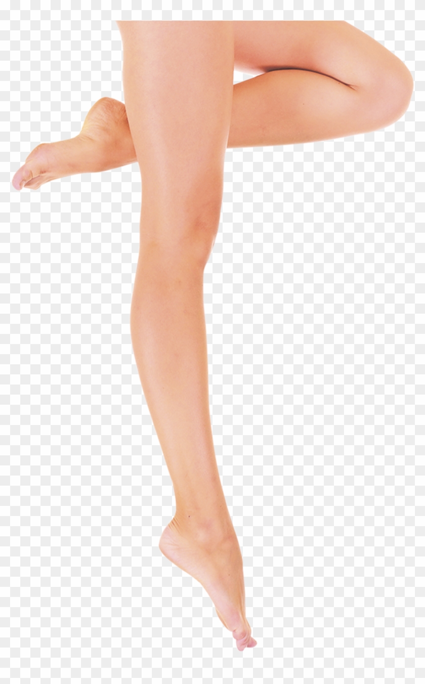 Legs Transparent Png File Web Icons Png Rh Webiconspng - Legs Transparent #1126979