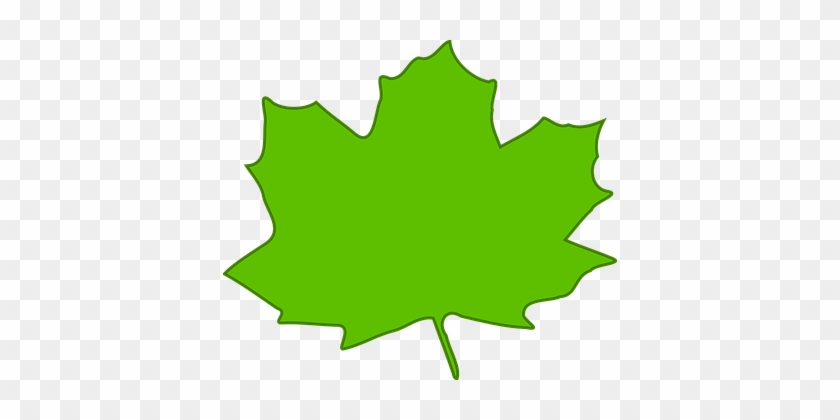Maple, Leaf, Green, Plant, Nature - Cartoon Light Green Leaf #1127224