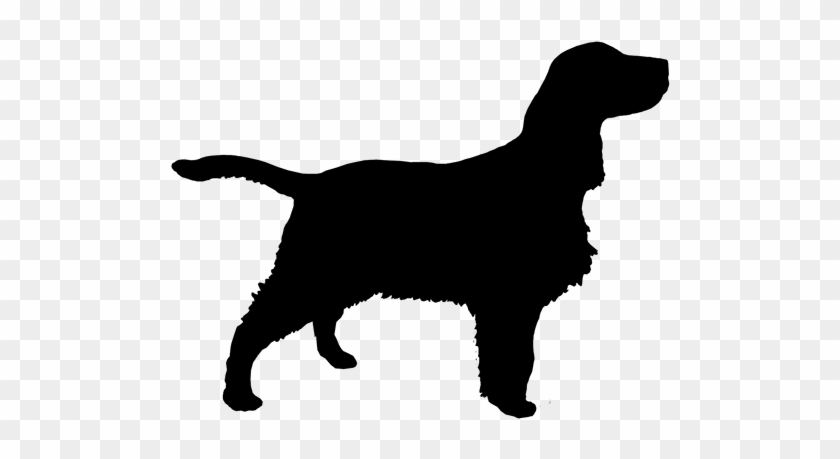 Guide To The Springer Spaniel - English Springer Spaniel Silhouette #1127232