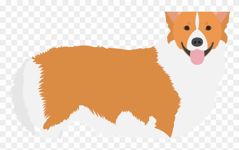 Pembroke Welsh Corgi #1127256