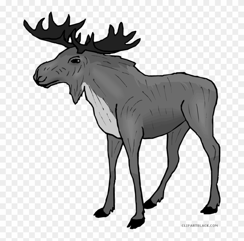 Moose Animal Free Black White Clipart Images Clipartblack - Moose Whisperer Rectangle Magnet #1127917