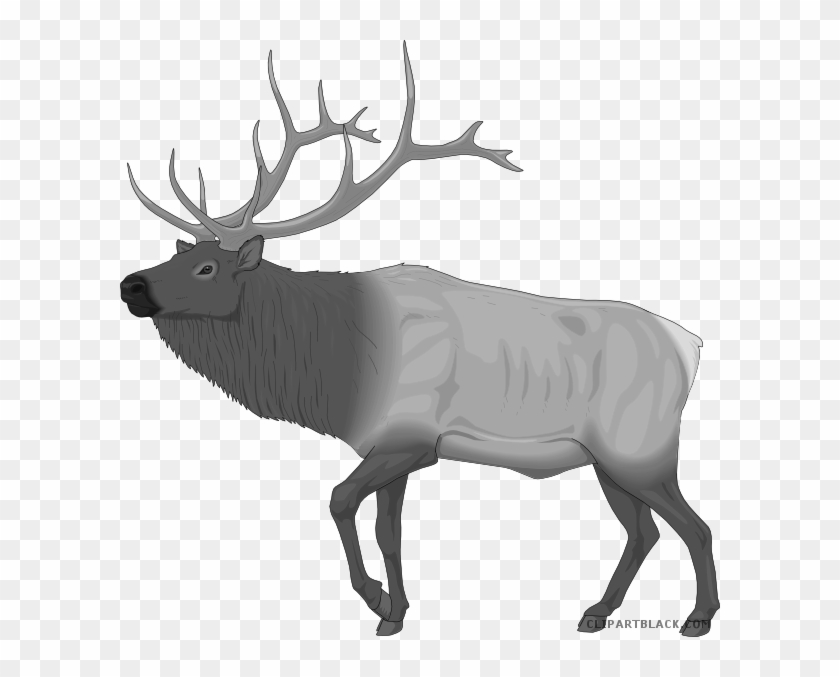 Moose Animal Free Black White Clipart Images Clipartblack - Elk Clip Art #1127926