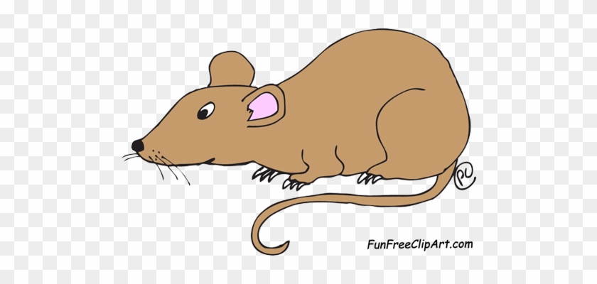 Laboratory White Rat Scientist Vector Cartoon Vector - Clipart Picture Of Rat #1127939