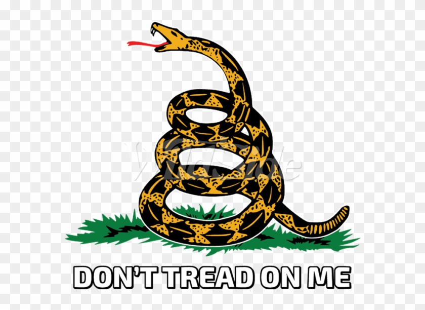 Don't Tread On Me With Snake - Don T Tread On Me Tattoo Design #1128094