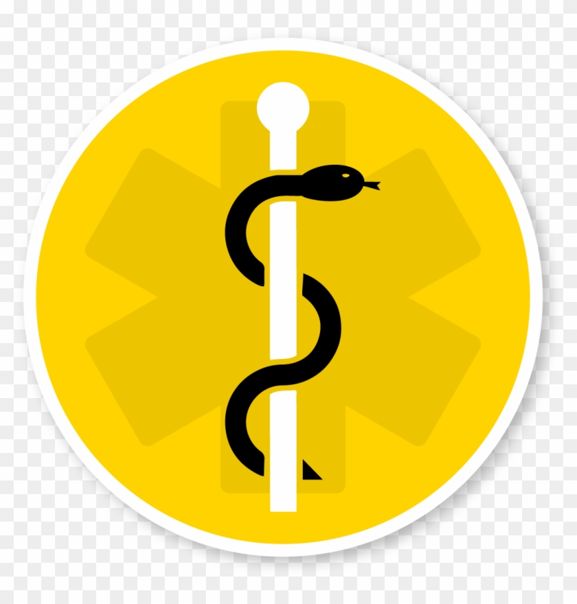 Additive Manufacturing Systems For Medical Applications - Biomedicine #1128780