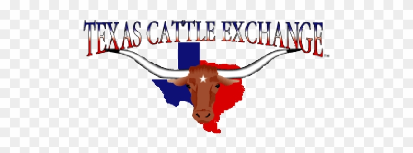 Logo - Texas Cow #1128935
