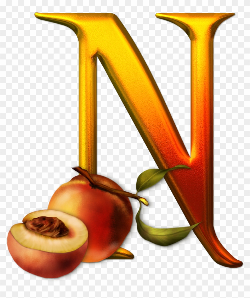 Pin Primera Comunion Cruz On Pinterest - Photography - Free Transparent PNG  Clipart Images Download, image size:840x1002