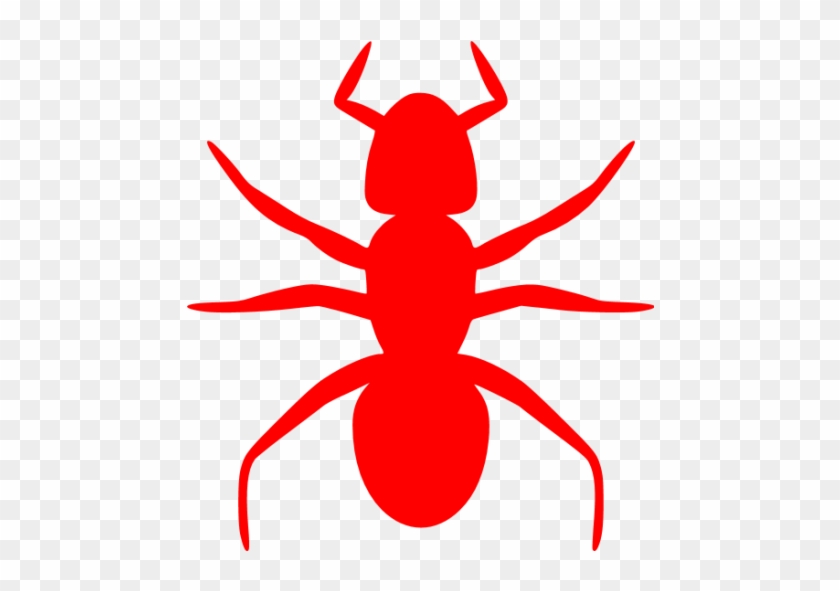 Ant Clip Art #1129364