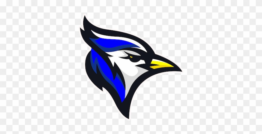 Norton Bluejays #1129554