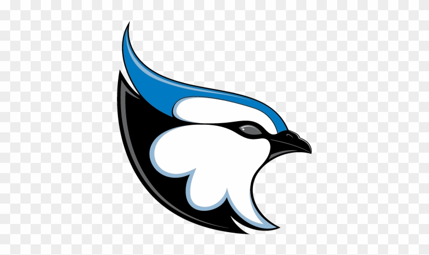 Blue Jay - Blue Jay #1129561
