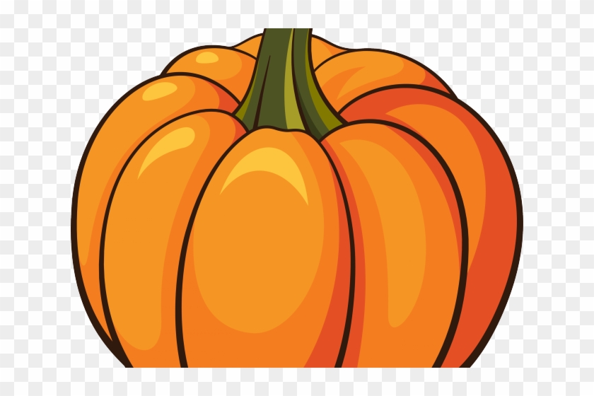 Squash Clipart Things - Squash Clipart #1129607