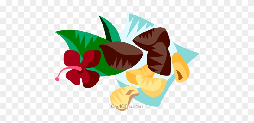 Brazil Nuts Royalty Free Vector Clip Art Illustration - Brazil Nuts Clip Art #1130505