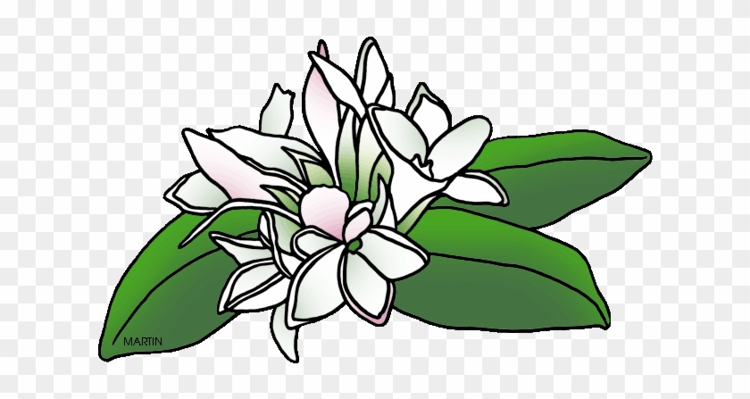 Free Flowers Clip Art By Phillip Martin, Mayflower - Phillip Martin Clipart Flower #1131331