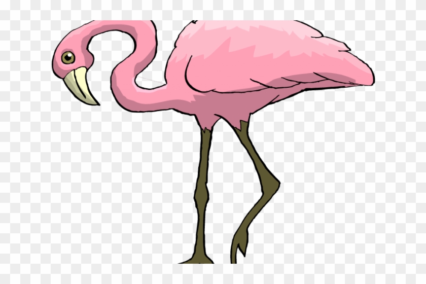 Flamingo Clipart Pink Animal - Pink Bird Long Neck #1131399